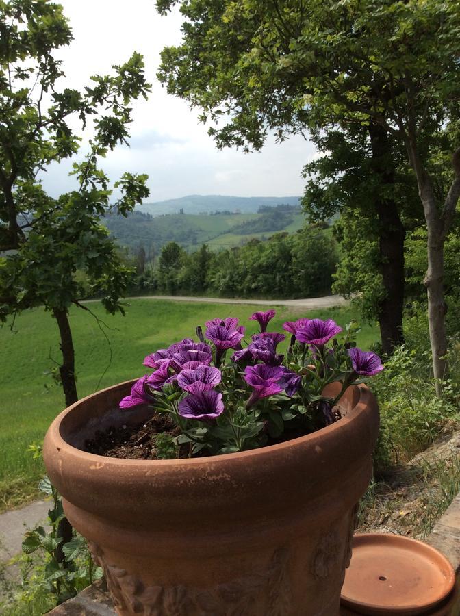 Agriturismo Ca Lunati Castelletto Mendosio Exterior photo